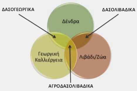 Η γεωργική καλλιέργεια μπορεί να περιλαμβάνει όλα τα ποώδη γεωργικά φυτά (π.χ. σιτηρά, βιομηχανικά φυτά, κηπευτικά, κτηνοτροφικά φυτά) καθώς και το αμπέλι.