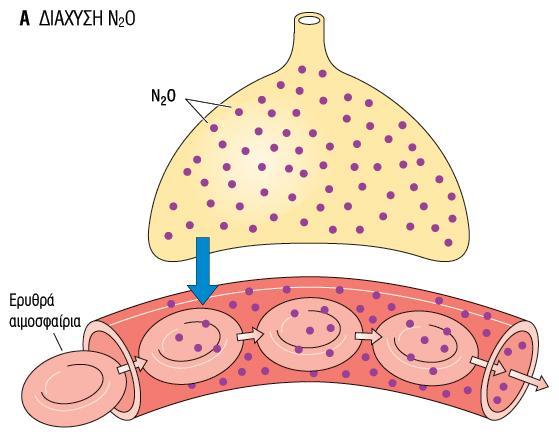 Το οξεύδιο του αζώτου (Ν2Ο) δεν ςυνδϋεται με την Hb.