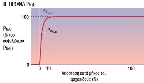 Μϋχρι το αύμα να καλύψει το 10% τησ απόςταςησ κατϊ μόκοσ του τριχοειδούσ η τριχοειδικό P Ν2Ο ϋχει εξιςωθεύ με την κυψελιδικό P Ν2Ο και η διϊχυςη του Ν2Ο ϋχει φτϊςει ςε κατϊςταςη