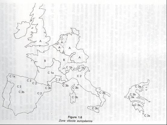 Τρυγητού 3/13 Η αμπελοοινική Ευρώπη χωρίζεται σε ζώνες σε
