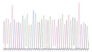 Acyclovir Thymidine kinase CMV