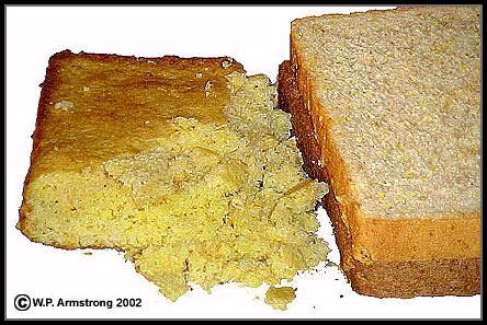Δύο φέτες ψωμί από διαφορετικά σιτηρά: ψωμί αραβοσίτου (αριστερά) και σιτάρι ολικής άλεσης (δεξιά).