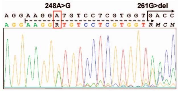 Εικόνα 46: Ανάλυση της αλληλουχίας του ΑΒΟ εξονίου 6 στο DNA του ασθενούς. Ετεροζυγωτίες παρατηρήθηκαν στη θέση 248Α> G (νέα παραλλαγή) και 261G> del (Ο1 αλληλόμορφο).
