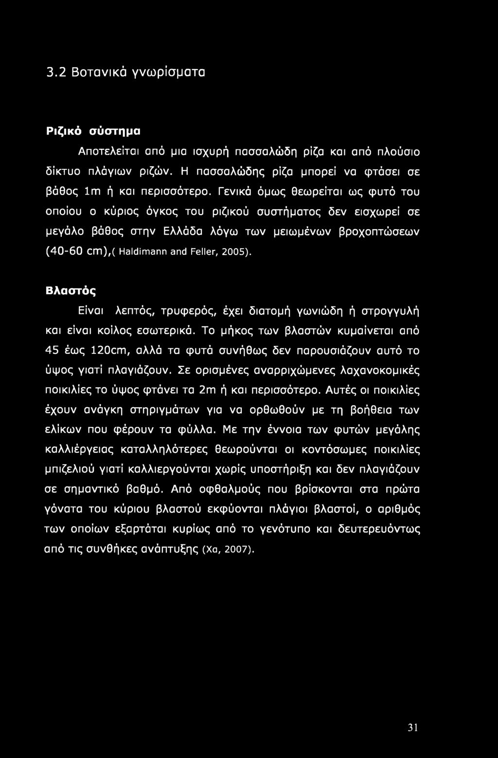 3.2 Βοτανικά γνωρίσματα Ριζικό σύστημα Αποτελείται από μια ισχυρή πασσαλώδη ρίζα και από πλούσιο δίκτυο πλάγιων ριζών. Η πασσαλώδης ρίζα μπορεί να φτάσει σε βάθος lm ή και περισσότερο.