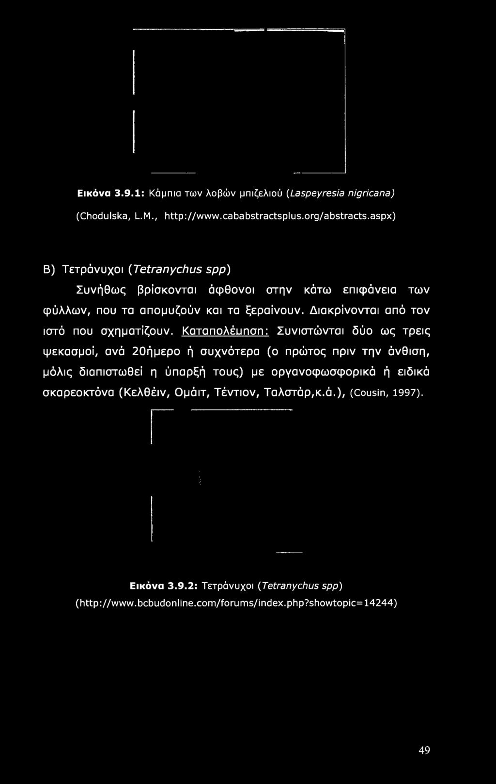 Καταπολέυπσπ: Συνιστώνται δύο ως τρεις ψεκασμοί, ανά 20ήμερο ή συχνότερα (ο πρώτος πριν την άνθιση, μόλις