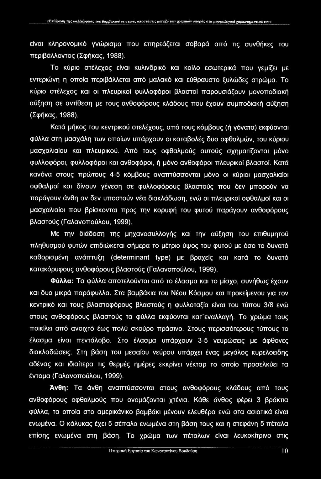 «Επίδραση της καλλιέργειας του βαμβακιού σε στενές αποστάσεις μεταξύ των γραμμών σποράς στα μορφολογικά χαρακτηριστικά του» είναι κληρονομικό γνώρισμα που επηρεάζεται σοβαρά από τις συνθήκες του