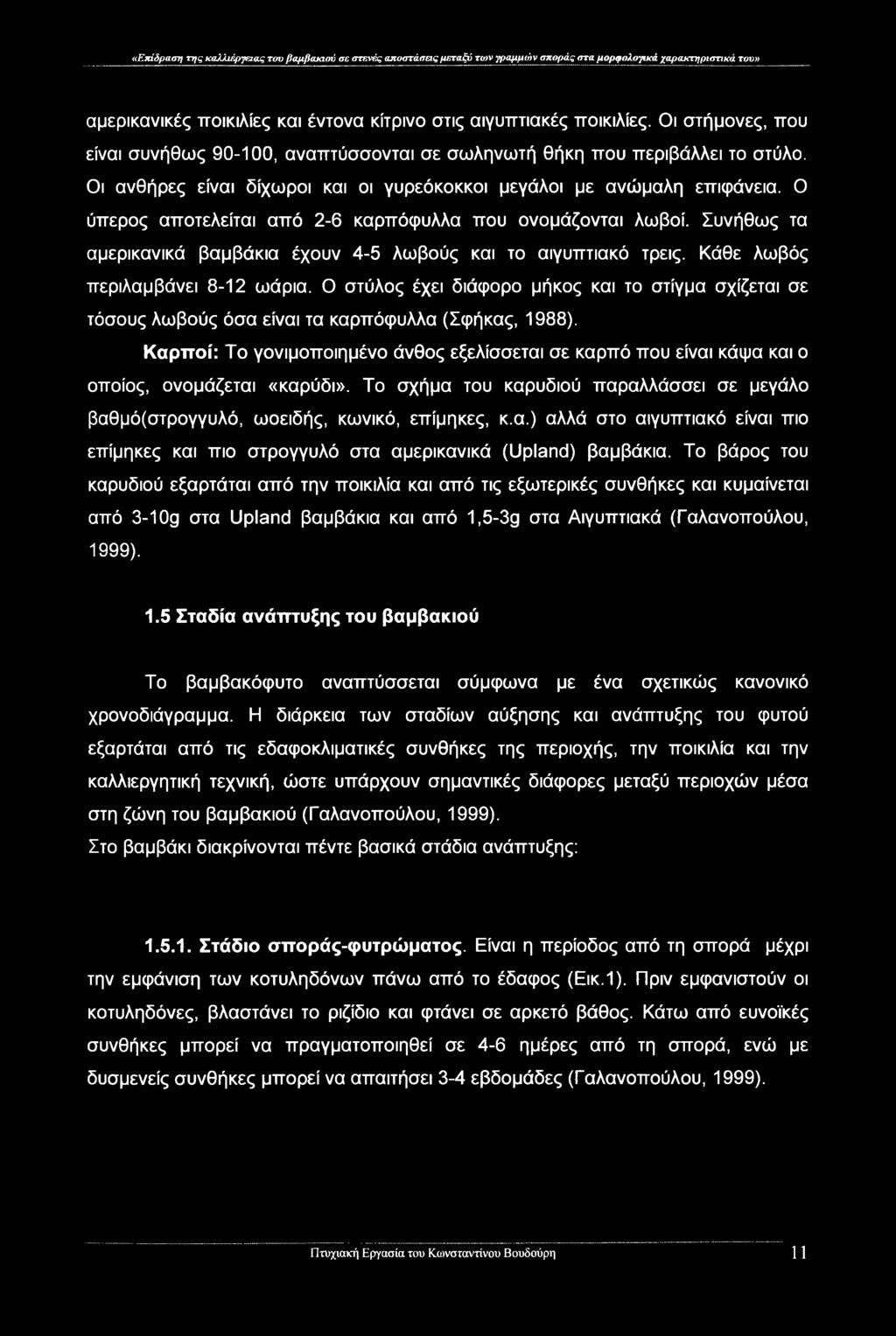Ο ύπερος αποτελείται από 2-6 καρπόφυλλα που ονομάζονται λωβοί. Συνήθως τα αμερικανικά βαμβάκια έχουν 4-5 λωβούς και το αιγυπτιακό τρεις. Κάθε λωβός περιλαμβάνει 8-12 ωάρια.