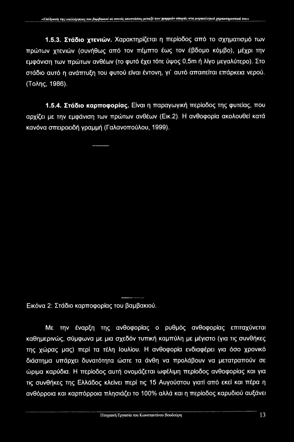 Στο στάδιο αυτό η ανάπτυξη του φυτού είναι έντονη, γι' αυτό απαιτείται επάρκεια νερού. (Τολης, 1986). 1.5.4. Στάδιο καρποφορίας.