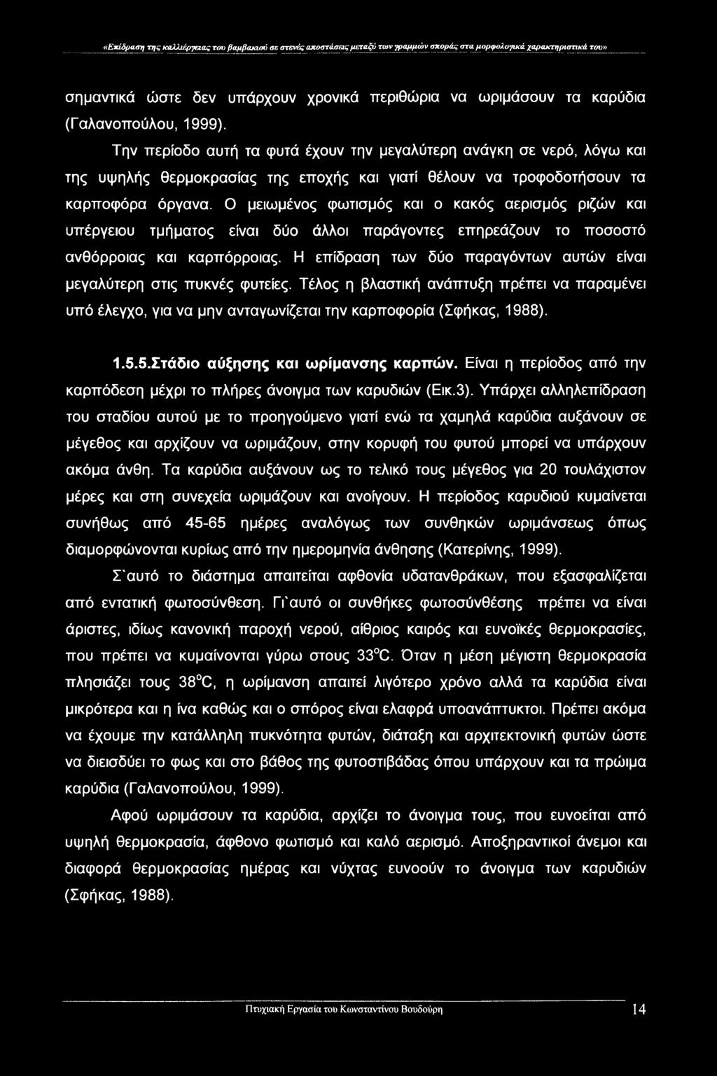 Ο μειωμένος φωτισμός και ο κακός αερισμός ριζών και υπέργειου τμήματος είναι δύο άλλοι παράγοντες επηρεάζουν το ποσοστό ανθόρροιας και καρπόρροιας.
