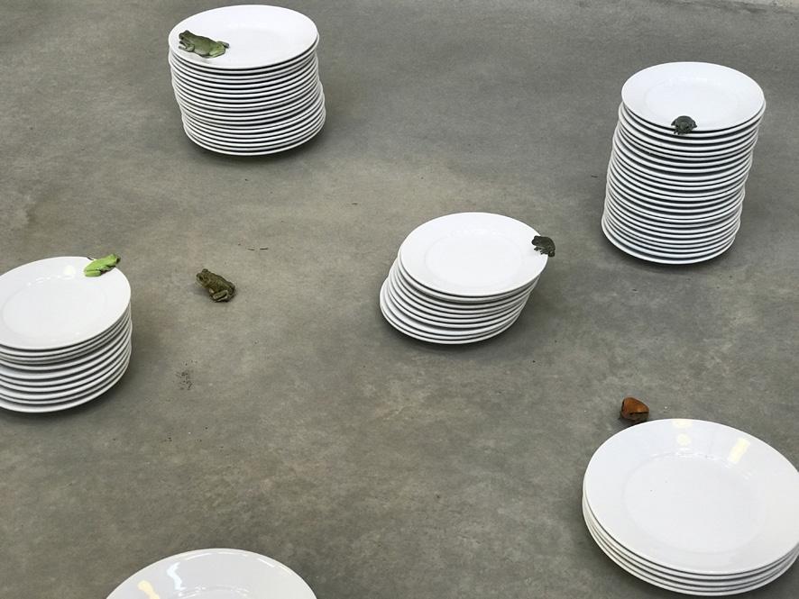 Juergen Teller, Frogs and Plates Nr.