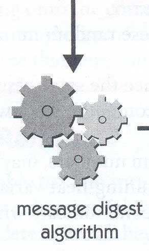 Addison-Wesley, 2001 Γελλήηνξεο