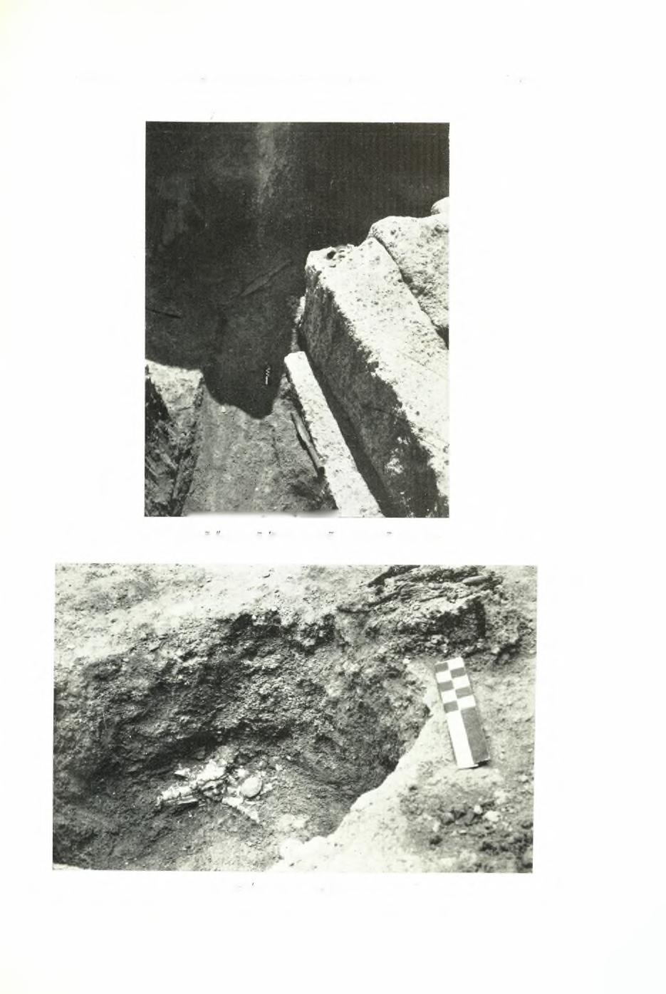 ΠΑΕ 1959. 13.