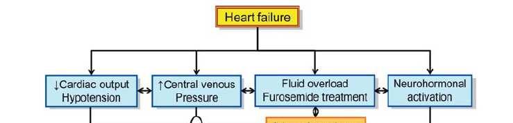 Mechanisms of