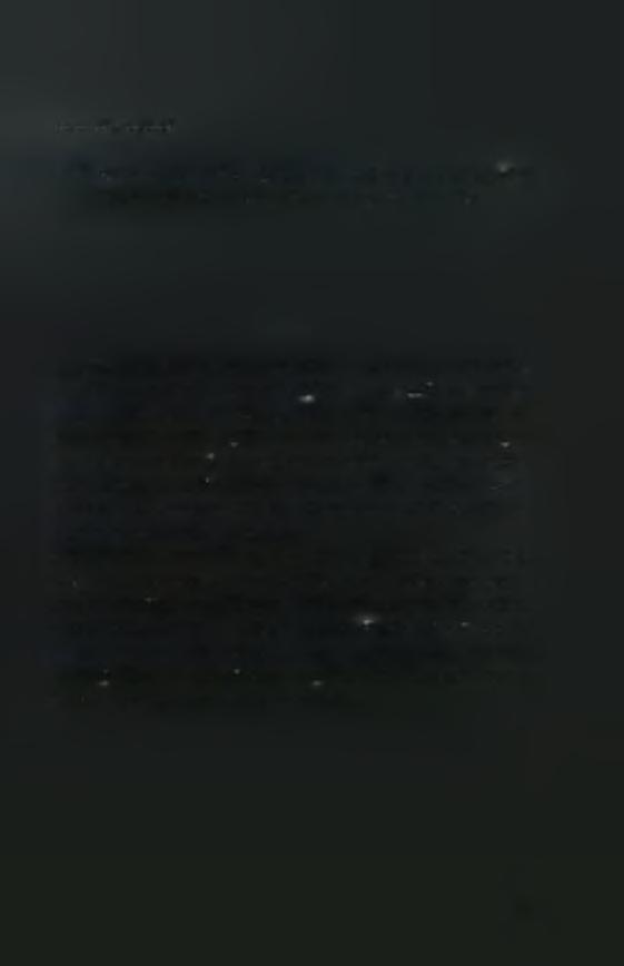 Βοτανική περιγραφή Ο σπόρος της αγριαγκινάρας είναι καφετής ή μαύρος, ραβδωμένος κατά μήκος, 6 έως 8 χιλ. μακρύς, ομαλός, όπως διακρίνεται και στην παρακάτω εικόνα.