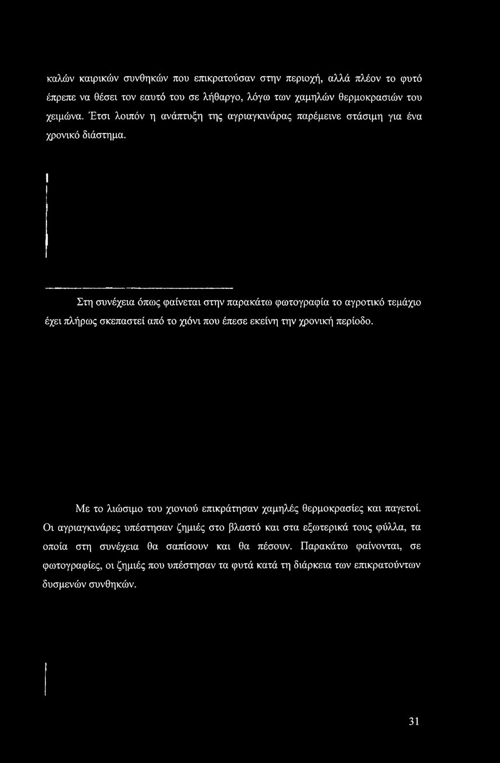 εκείνη την χρονική περίοδο. Με το λιώσιμο του χιονιού επικράτησαν χαμηλές θερμοκρασίες και παγετοί.