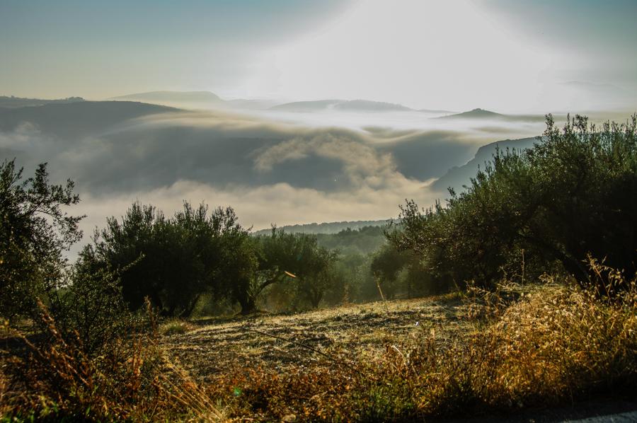 Στα φαράγγια του πάρκου έχουν εντοπιστεί θέσεις ιστορικής και πολιτισμικής αξίας όπως η αρχαία Έλτυνα, ο μινωικός οικισμός Μυρτιάς και το μινωικό νεκροταφείο Αστράκων.