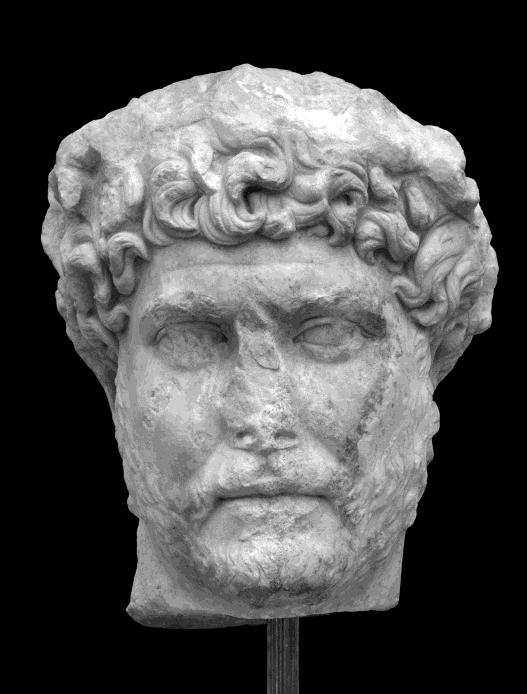Επιπλέον, η συλλογή πορτρέτων Ρωμαίων αυτοκρατόρων 2 εμπλουτίστηκε με ένα ακόμη απόκτημα, το εκμαγείο ενός πορτρέτου του Αδριανού, που επιλέχτηκε ως αντιπροσωπευτικό για τον ελληνικό χώρο.