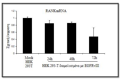 Α Β Εικόνα 17: Παροδική έκφραση του RANK σε διαδοχικά χρονικά διαστήματα δείχνει να αυξάνει τη μεταγραφή του EGFR. Α.
