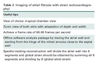 Tips and Tricks for LA deformation imaging