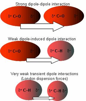 Δυνάμεις μεταξύ βιομορίων Ηλεκτροδυναμικές δυνάμεις - Αλληλεπιδράσεις van der Waals Οι αλληλεπιδράσεις van der Waals είναι ηλεκτροδυναμικού τύπου αλληλεπιδράσεις και διακρίνονται σε τρεις κατηγορίες: