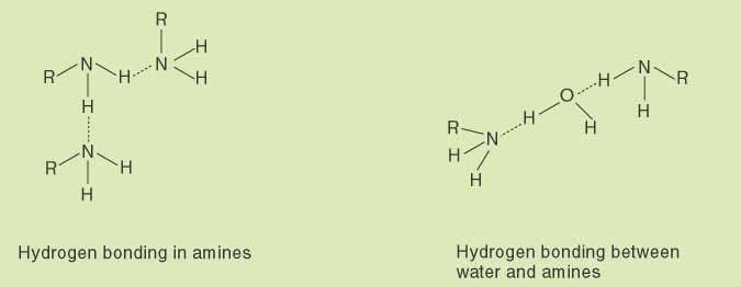 Δεσμοί υδρογόνου (συνέχεια) Ενδομοριακοί δεσμοί υδρογόνου,