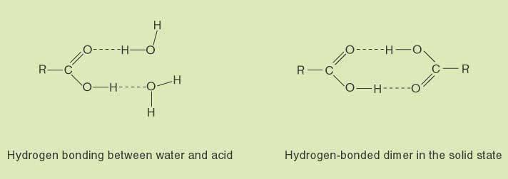 μεταξύ διαφορετικών μορίων) και επίσης δεσμοί υδρογόνου μεταξύ