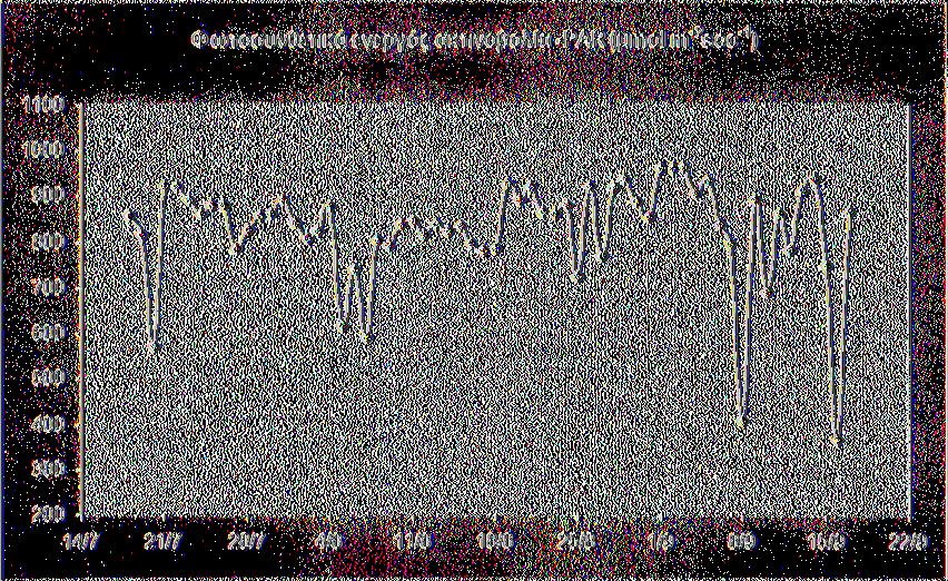 8 μηιοί m'2 sec_1(03/09). Οι διακυμάνσεις ήταν σχετικά ομαλές. Στο 3 διάστημα η παράμετρος αυτή παρουσίασε αρκετά μεγάλες διακυμάνσεις με αποτέλεσμα να διαμορφωθεί ένα μέγιστο στις 14/09 (939.