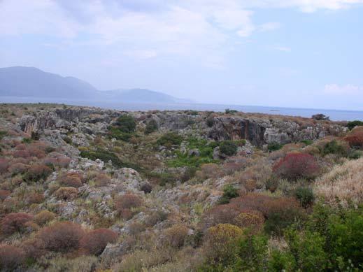 Κεφάλαιο 14 ο