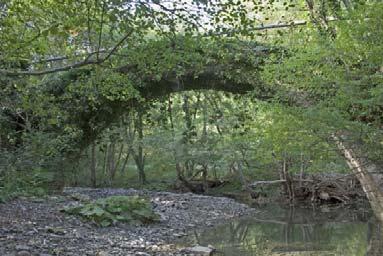 Άλλα Στοιχεία Ονομάστηκε έτσι από τον παρακείμενο