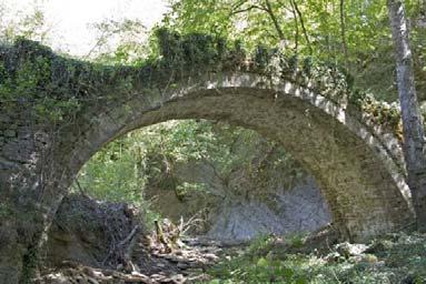 Μπαγιώτικο ρέμα, παραπόταμος του Βοϊδομάτη Υψόμετρο