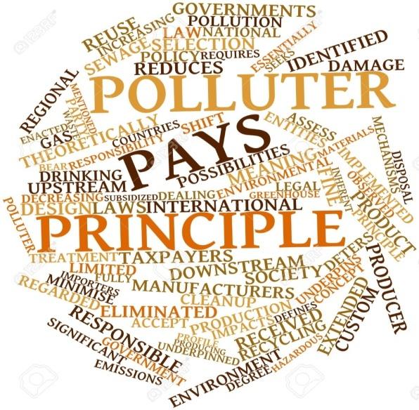 The polluter s pay principle- «Ο ρυπαίνων πληρώνει» Διακήρυξη του Ρίο