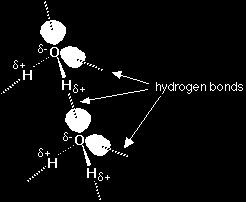 Δεσμοί υδρογόνου δημιουργούνται σε: νερό (H2O), αμίνη (-NH2), υδροξείδιο (-ΟΗ) αλκοόλες όπως η μεθανόλη