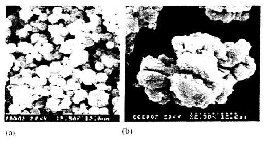 Κεφάλαιο1 Σύνθετα υλικά Σχήμα 1.3 Μικρογραφία με SEM σωματιδιακών εγκλεισμάτων: a) Fe 3 O 4, b) Fe 3 O 4 /PSt/TiO 2 [Guo, 2002].