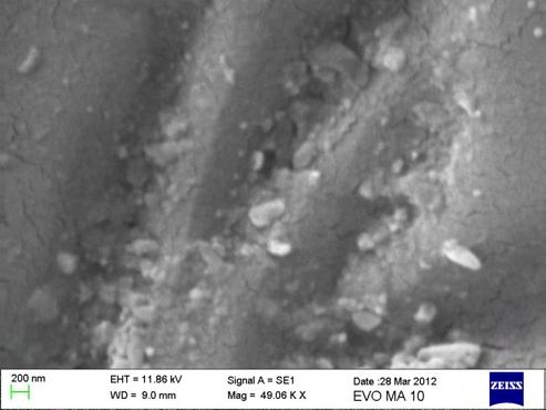 15: Μικροφωτογραφία SEM του σύνθετου με περιεκτικότητα 7 phr nano- ZnTiO 3 και 7 phr nano- BaTiO 3. 6.