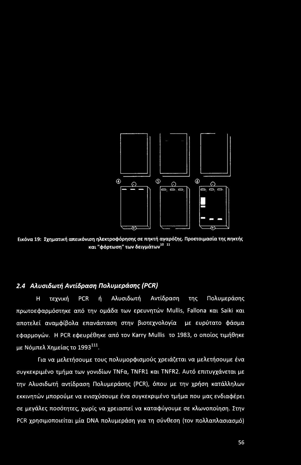 4 Αλυσιδωτή Αντίδραση Πολυμεράσης (PCR) Η τεχνική PCR ή Αλυσιδωτή Αντίδραση της Πολυμεράσης πρωτοεφαρμόστηκε από την ομάδα των ερευνητών Mullis, Failona και Saiki και αποτελεί αναμφίβολα επανάσταση