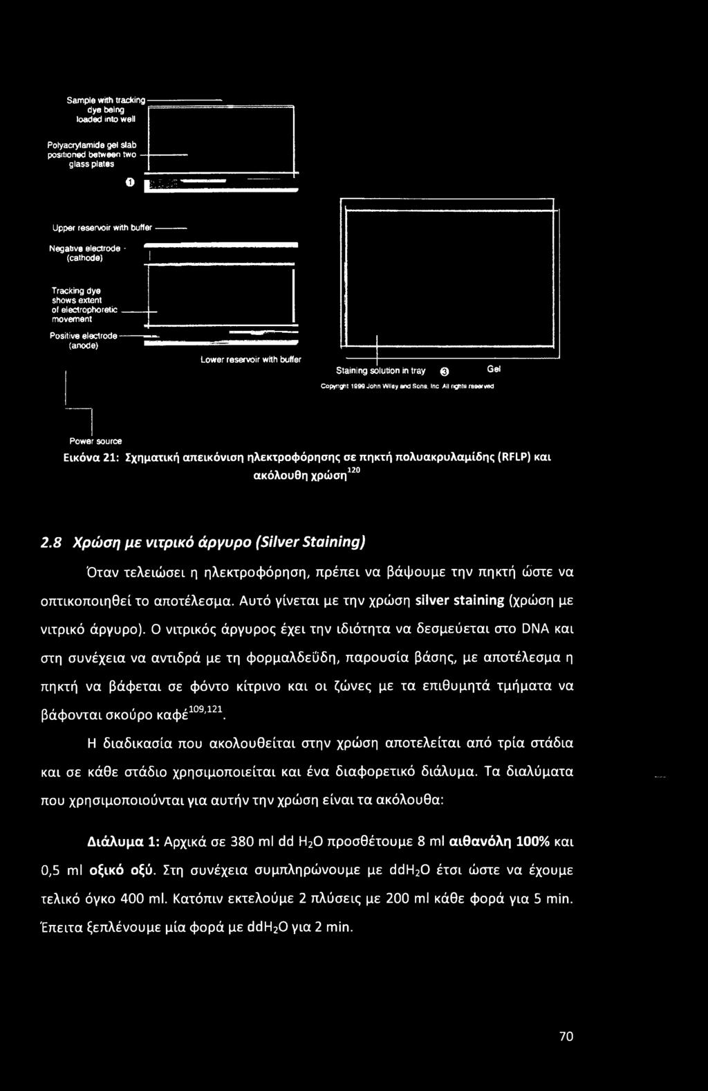 All rights reserved Power source Εικόνα 21: Σχηματική απεικόνιση ηλεκτροφόρησης σε πηκτή πολυακρυλαμίδης (RFLP) και ακόλουθη χρώση120 2.