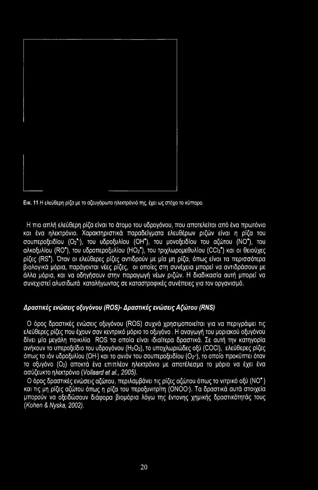 τριχλωρομεθυλίου (CCh*) και οι θειούχες ρίζες (RS*).