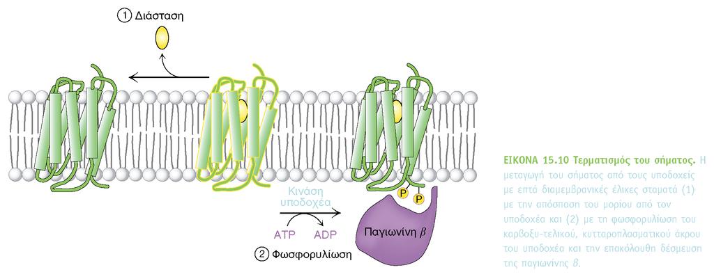 BIOXHMEIA, TOMOΣ I