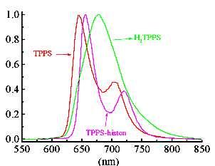 Φθορισµός που προκύπτει από το τετρα-ανιόν µιας πορφυρίνης (TPPS, 646 και 704 nm), το αντίστοιχο διπρωτονιωµένο διανιόν του (Η 2 TPPS) καθώς και του «συµπλόκου» της πορφυρίνης µε ιστόνη