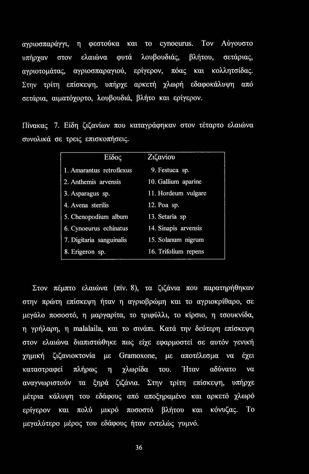 Είδη ζιζανίων που καταγράφηκαν στον τέταρτο ελαιώνα συνολικά σε τρεις επισκοπήσεις. Είδος Ζιζανίου 1. Amarantus retroflexus 9. Festuca sp. 2. Anthemis arvensis 10. Gallium aparine 3. Asparagus sp. 11.