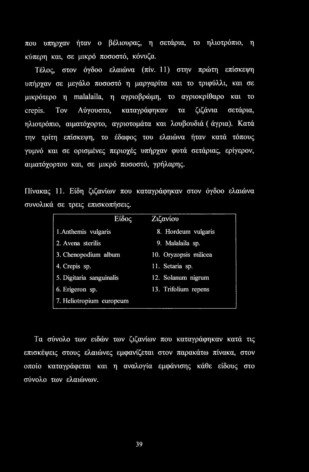 Τον Αύγουστο, καταγράφηκαν τα ζιζάνια σετάρια, ηλιοτρόπιο, αιματόχορτο, αγριοτομάτα και λουβουδιά ( άγρια).