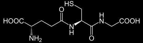 Glutathion: τριπεπτίδιο, συμμετέχει σε αντιδράσεις οξείδωσης και αναγωγής, στην αποτοξίνωση από τα ξενοβιοτικά, αντιοξειδωτικό απαραίτητο στον οργανισμό - Ενζυμα της οικογένειας glutathione