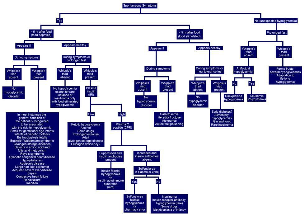 Αιφνίδια συμπτωματολογία Ναι Όχι (μη αναμενόμενη υπογλυκαιμία) >5 ώρες μετά το γεύμα (ενεργοποιείται από την στέρηση τροφής) <5 ώρες μετά το γεύμα (ενεργοποιείται από την τροφή) Παρατεταμένη νηστεία