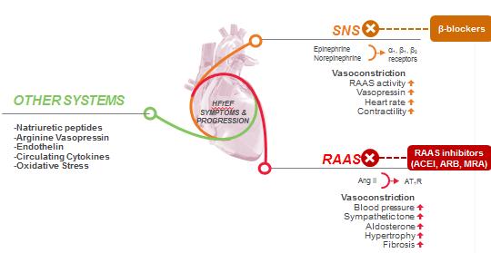 -McMurray et al. Eur Heart J 2012;33:1787 847 -Levin et al. N Engl J Med 1998;339:321 8; -Nathisuwan, et al.