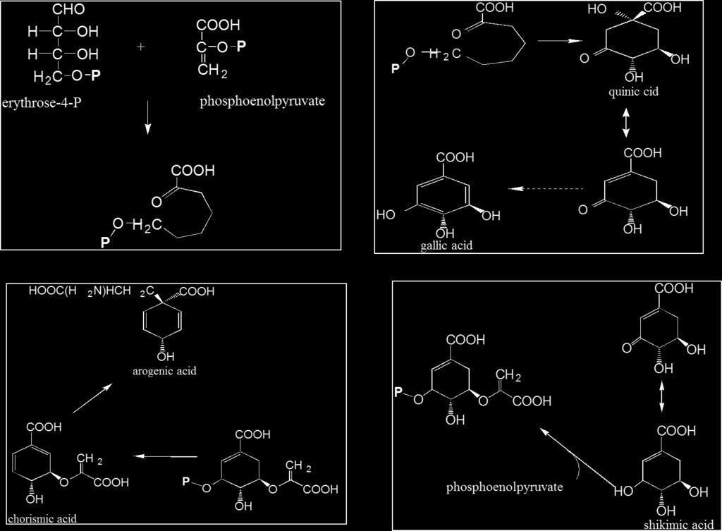 Φαινολικές ενώσεις (γ) Αντιδράσεις