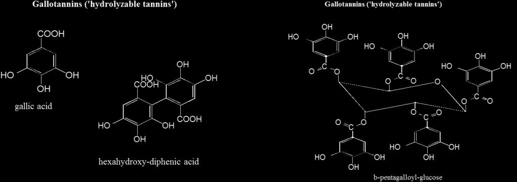 ταννίνες: