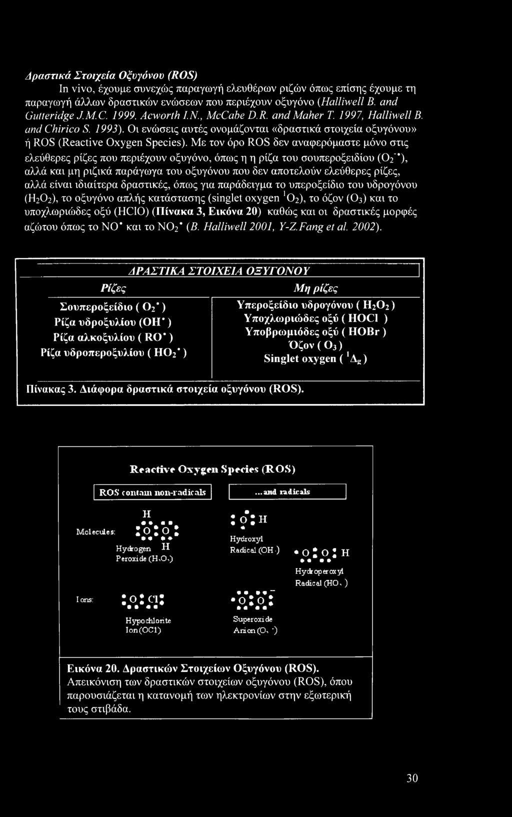 Εικόνα 20) καθώς και οι δραστικές μορφές αζώτου όπως το NO* και το ΝΟ2 (Β. Halliwell 2001, Y-Z.Fang et al. 2002).