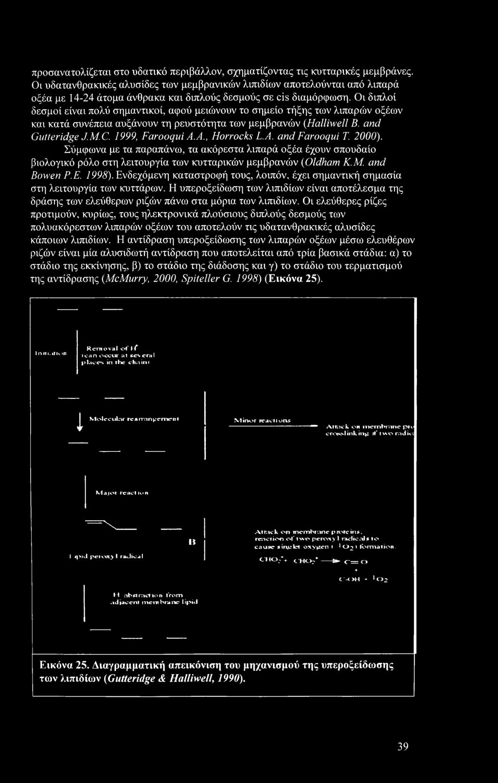 Οι διπλοί δεσμοί είναι πολύ σημαντικοί, αφού μειώνουν το σημείο τήξης των λιπαρών οξέων και κατά συνέπεια αυξάνουν τη ρευστότητα των μεμβρανών (Halliwell Β. and Gutteridge J.M.C. 1999, Farooqui Α.