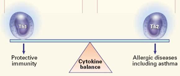 IL-2 IFN-γ Th 1