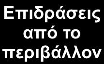 και του περιβάλλοντος (environment), µέσω της οποίας οι άνθρωποι